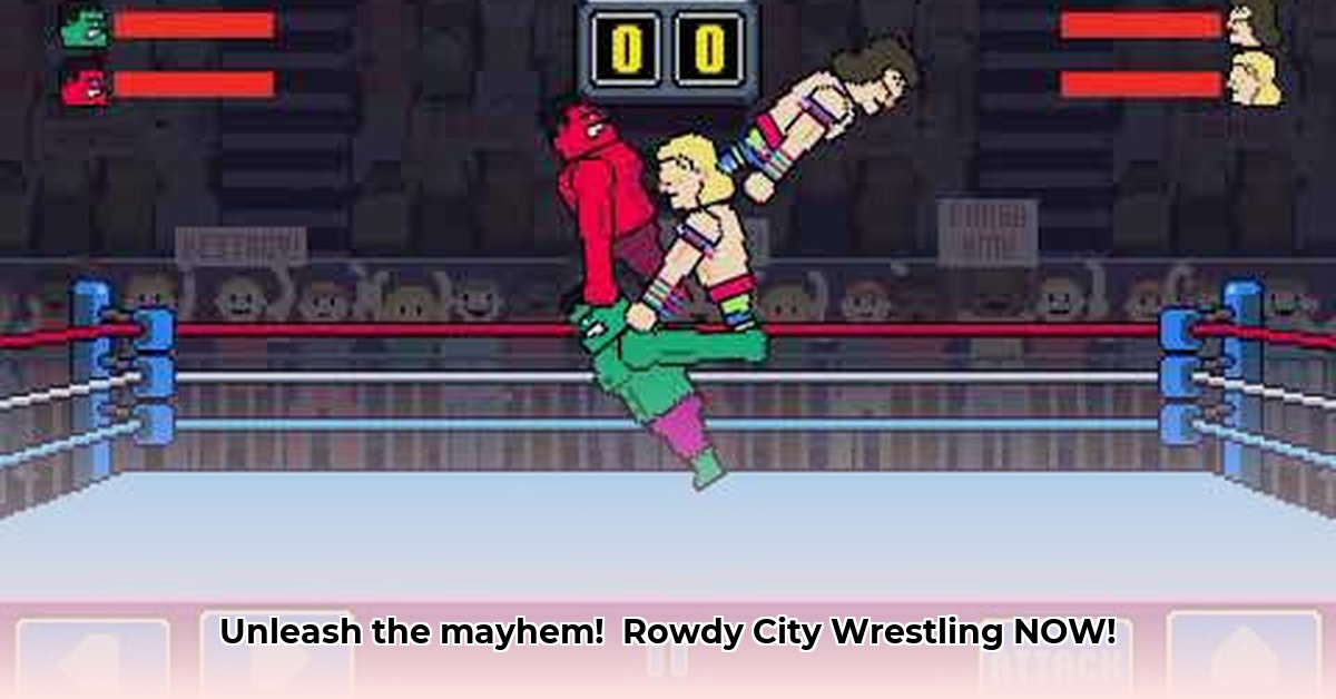 rowdy-city-wrestling-unblocked